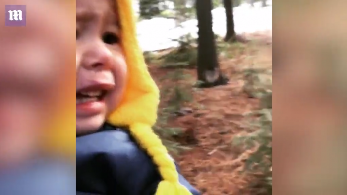 Shikoni reagimin e fëmijës kur babai e pret pemën e Krishtlindjes  me sharrë (Video)