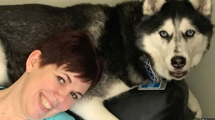 Qeni 'husky' nuhati praninë e kancerit të vezoreve te pronarja e tij