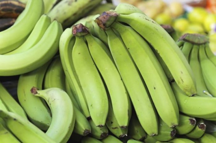 Bananet jeshile kanë vlera të mëdha për organizmin, ja si duhet t’i përdorni