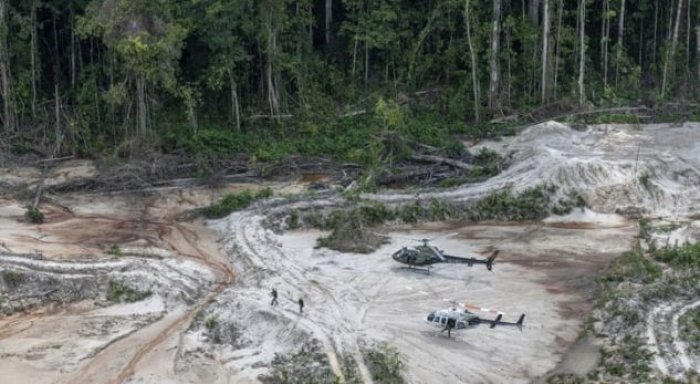 Rritet numri i gërmimeve ilegale në pyjet e Brazilit