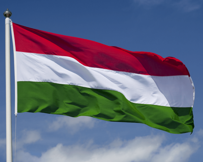 Hungaria ofron bursa për studentët kosovarë