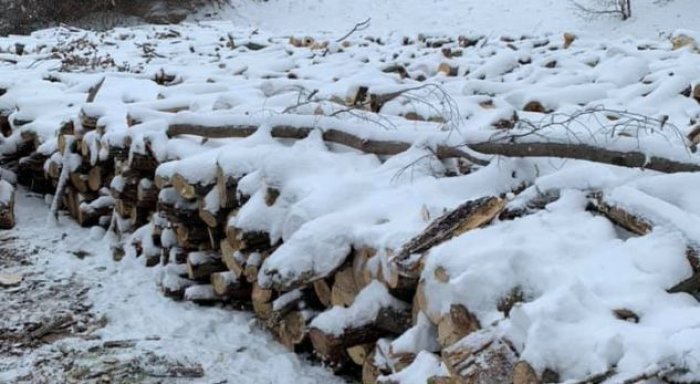 Komuna e Prishtinës shpërndan dru për skamnorët