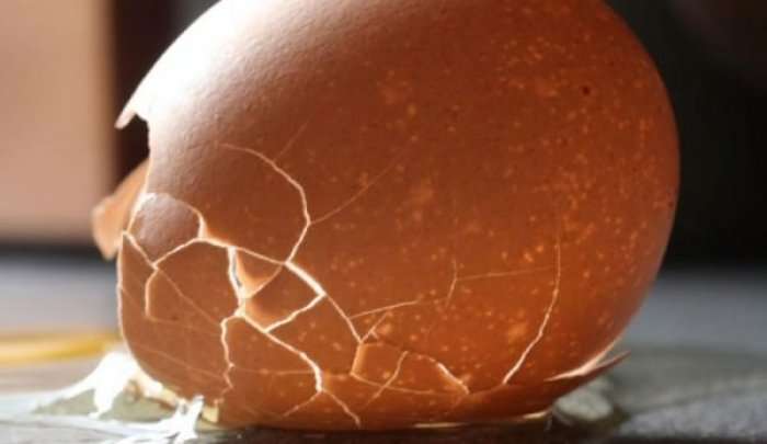 Çfarë e bën lëvozhgën e vezës aq të fortë?