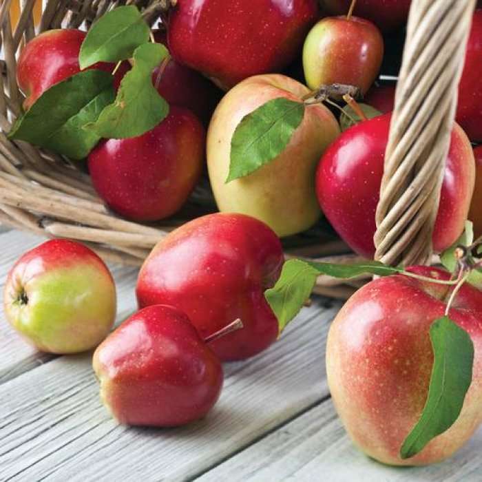 Vetitë shëruese të mollëve 