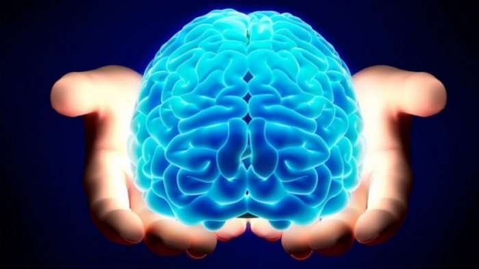Si i mban truri ynë brenda gjithë ato informacione?
