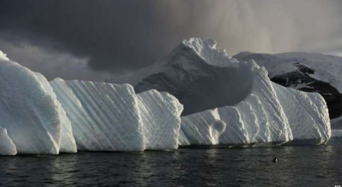 20 gjëra interesante për Antarktikun