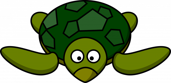 Breshka më e shpejtë (Foto)