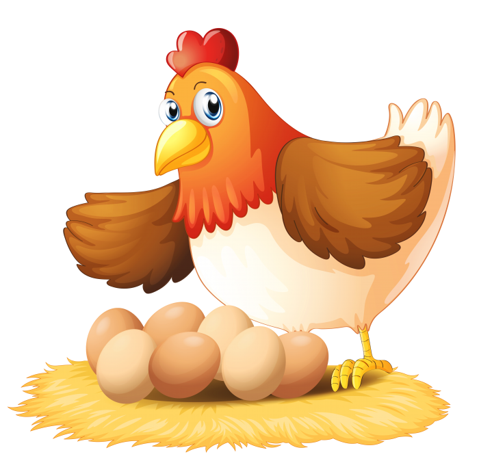 Çfarë e bën lëvozhgën e vezës aq të fortë?