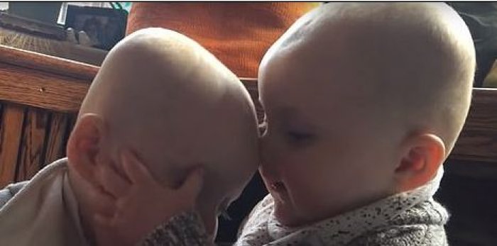 Dy binjakët, që po mahnitin shikuesit (Video)