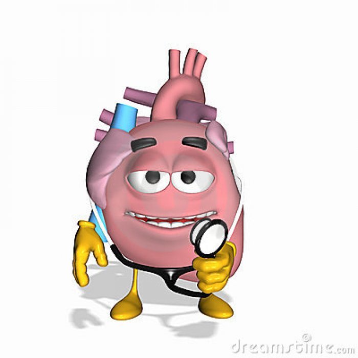 A e dini se çfarë funksioni ka aorta?