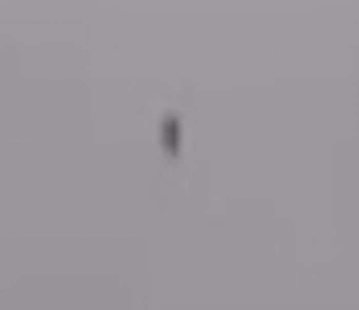 Alien, apo... kushedi se çka!