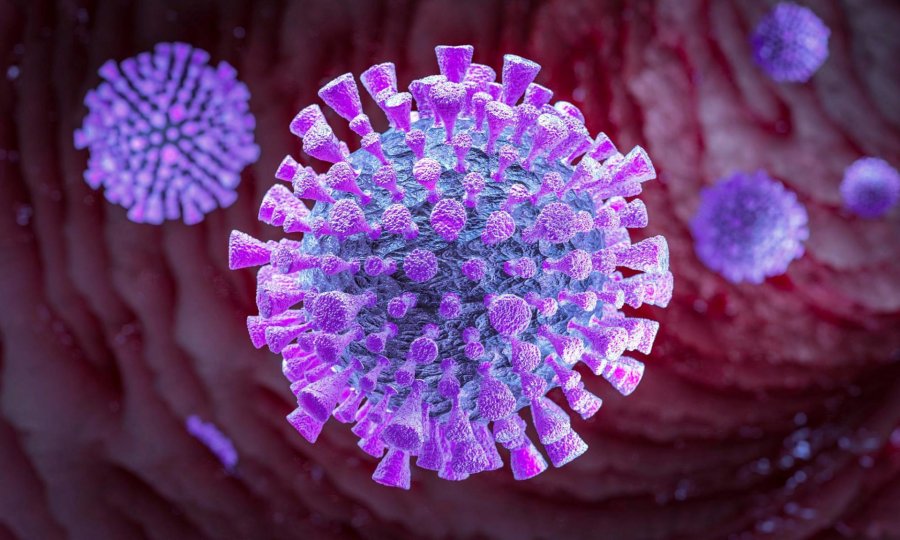 Raporti 24 orësh: 14 të vdekur dhe 555 raste të reja me koronavirus në Kosovë