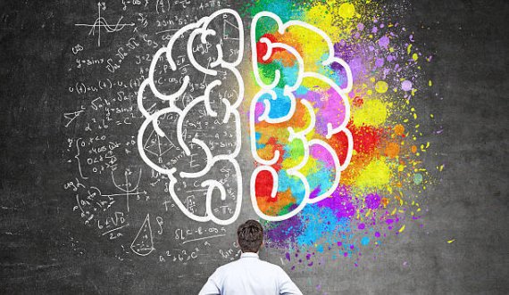 Krijuese apo logjike? Cila anë e trurit tënd është më dominante?