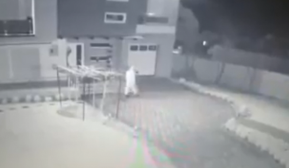Disa hajna kryejnë një vjedhje, kapen nga kamerat e sigurisë në Malishevë të Gjilanit