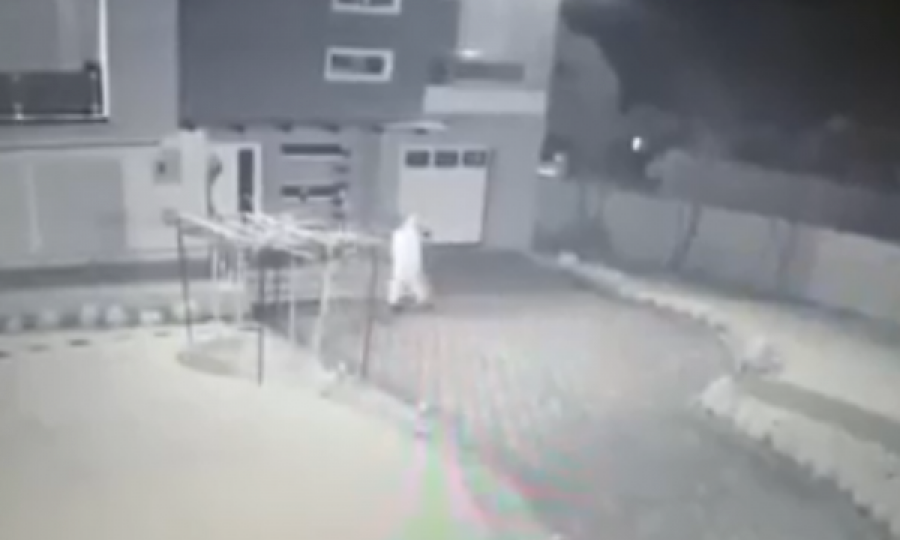 Disa hajna kryejnë një vjedhje, kapen nga kamerat e sigurisë në Malishevë të Gjilanit