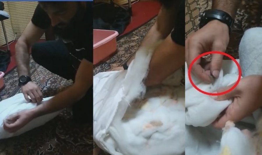 Si bëhen sehiret, shokuese çka ka gjetur shqiptari brenda jastëkut në të cilin fle(VIDEO)