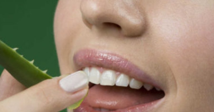 Keni probleme me shëndetin e dhëmbëve? Mësoni si ta kuroni me aloe vera