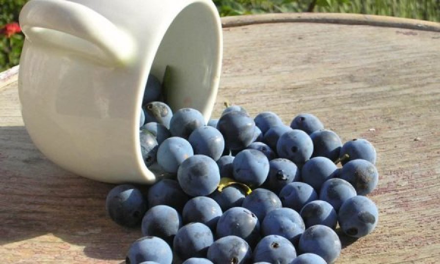 Pema që “hallakati” shqiptarët: Askush nuk po ia di emrin