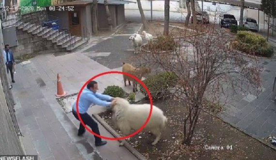 Delet “mësyjnë” në objektin e komunës së qytetit dhe sulmojnë zyrtarët