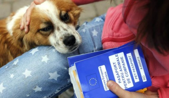 Edhe kafshët ia shohin sherrin Brexit-it, humbin pasaportat e BE-së