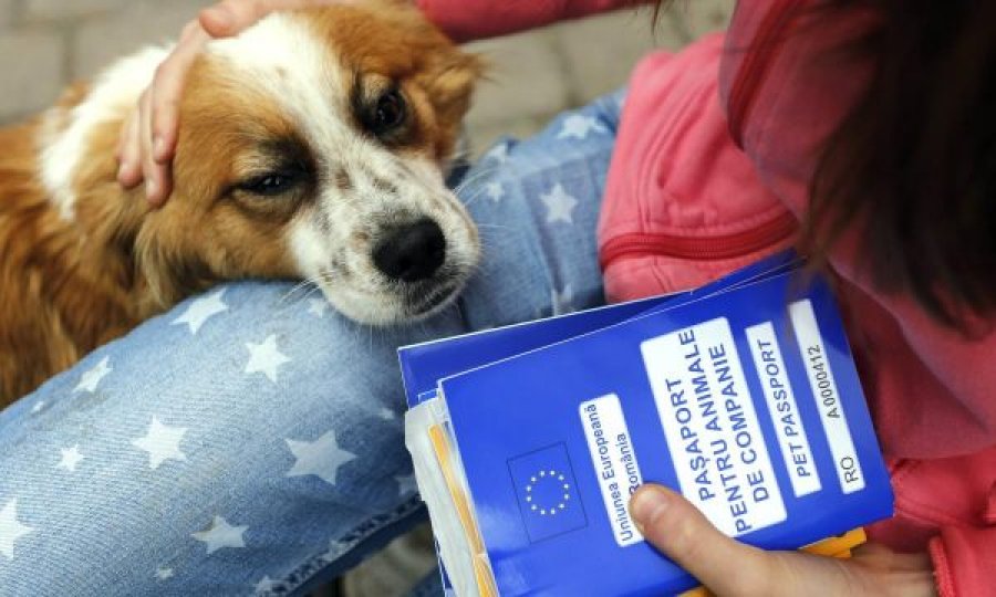 Edhe kafshët ia shohin sherrin Brexit-it, humbin pasaportat e BE-së