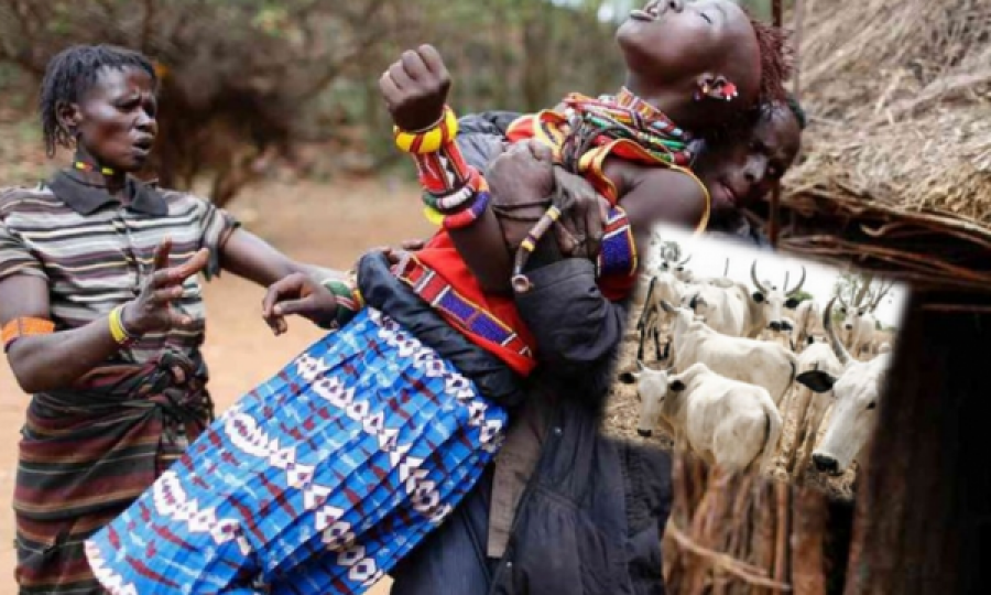 Në këtë shtet të Afrikës, vajzat e mitura shkëmbehen me 60 lopë