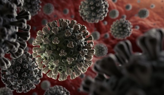  Varianti i ri i koronavirusit, çka dihet deri më tani 