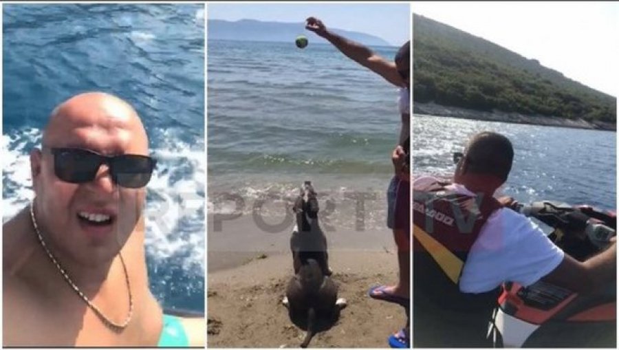 Mbante pitbulla për t’i ruajtur drogën, jeta luksoze e djalit të çiftit Pasho që u gjetën të copëtuar në valixhe