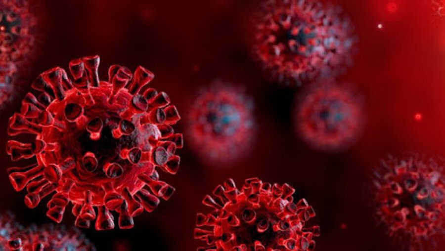  Çfarë dihet deri më tani për variantin e ri të koronavirusit 