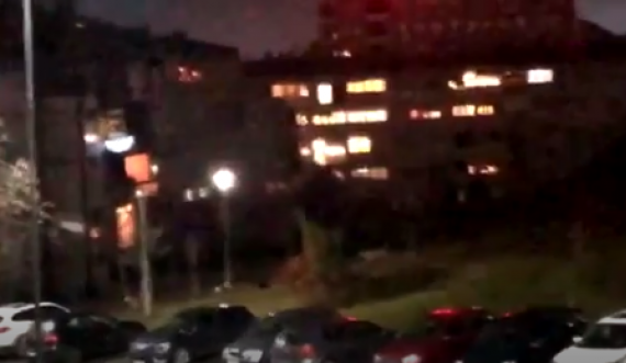 Qentë endacakë i vërsulen një kalimtari në Prishtinë