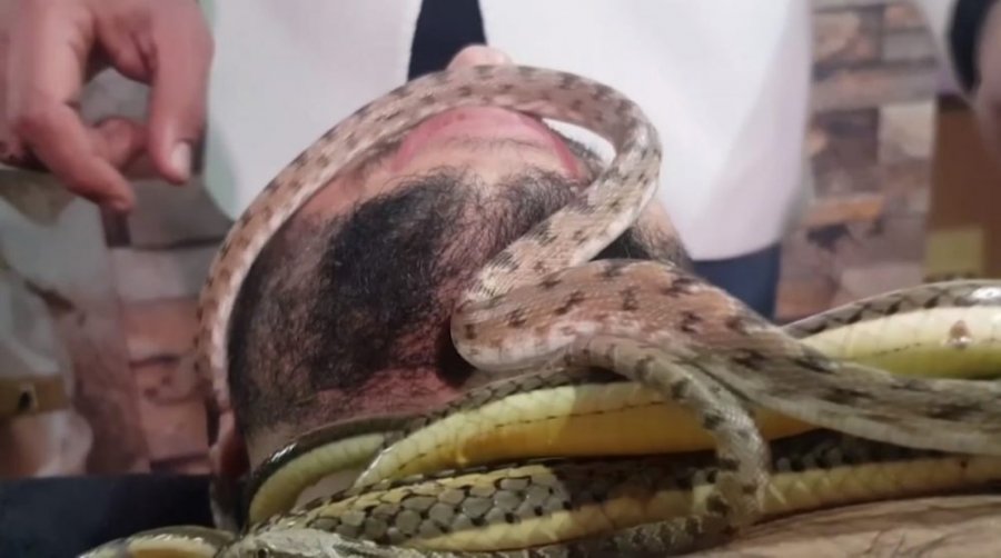  Masazhi i veçantë me gjarpërinj 