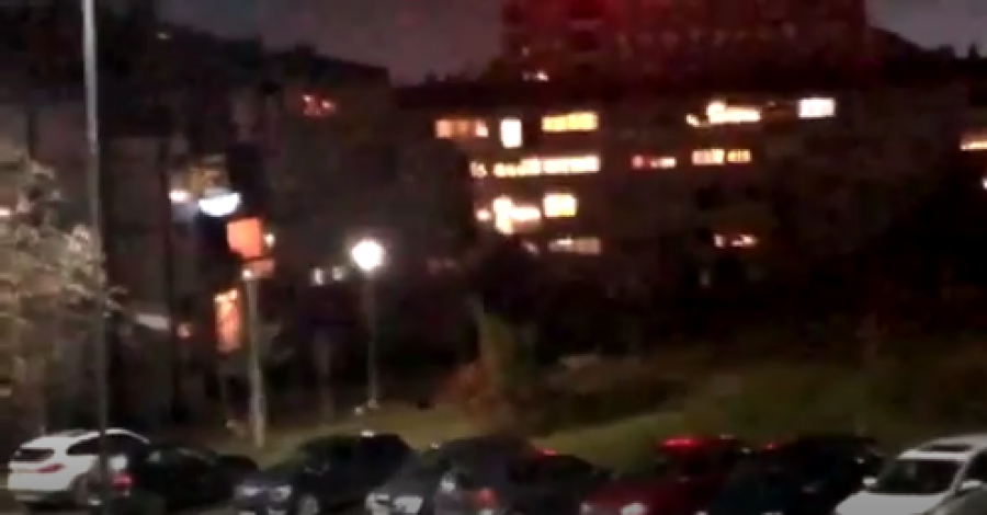 Qentë endacakë i vërsulen një kalimtari në Prishtinë
