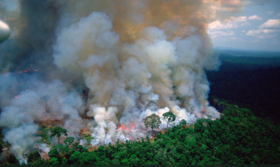  Zjarret në Amazonë shënuan rekord në qershor 