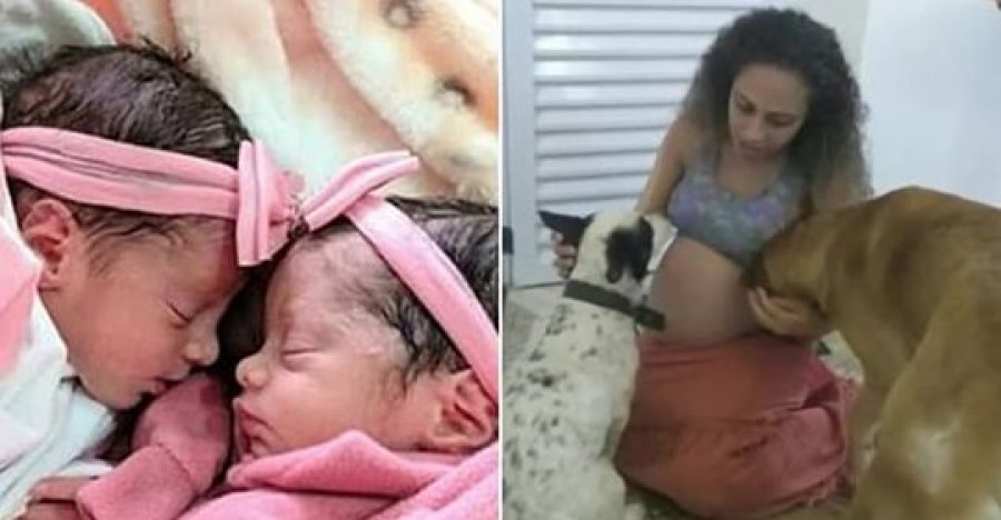 Qeni kafshon për vdekje binjaket e sapolindura, nëna po bënte 'muhabet' në viber