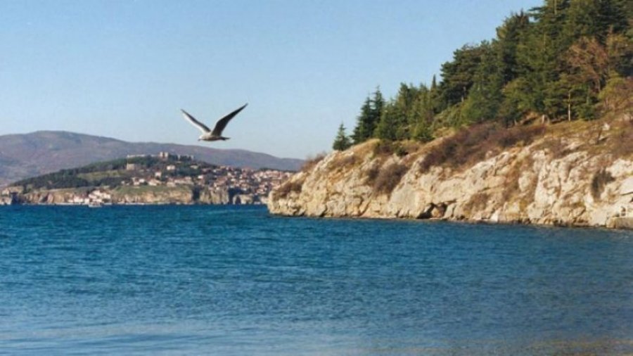 MPB me detaje në lidhje me njeriun e mbytur në Liqenin e Ohrit
