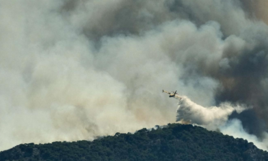  Shpërthen zjarri në pyjet afër bregdetit grek 