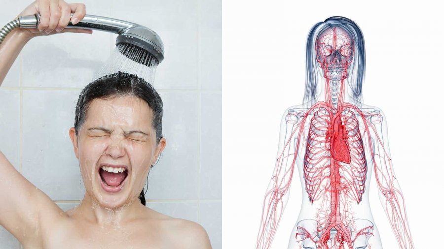 Tri arsye pse dushi me ujë të ftohtë është i mirë për shëndet