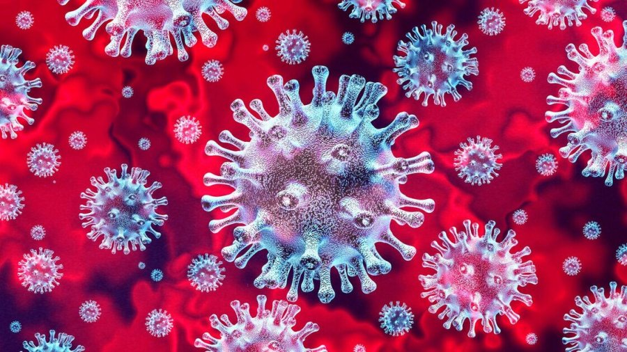  Përgjigja imune e fortë dhe e shpejtë pas shërimit nga infeksioni Covid-19, thonë shkencëtarët 