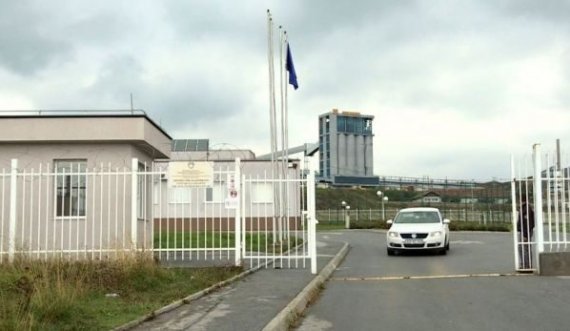 Kosova mbushet me sirianë, Ministria tregon sa kanë ardhur këtë vit