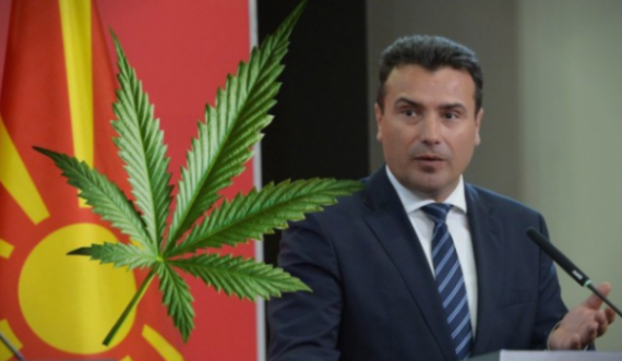  Zoran Zaev dëshiron ta bëjë Maqedoninë sikur Amsterdamin, mbështet legalizimin e kanabisit 