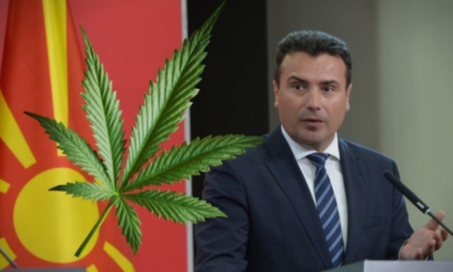  Zoran Zaev dëshiron ta bëjë Maqedoninë sikur Amsterdamin, mbështet legalizimin e kanabisit 