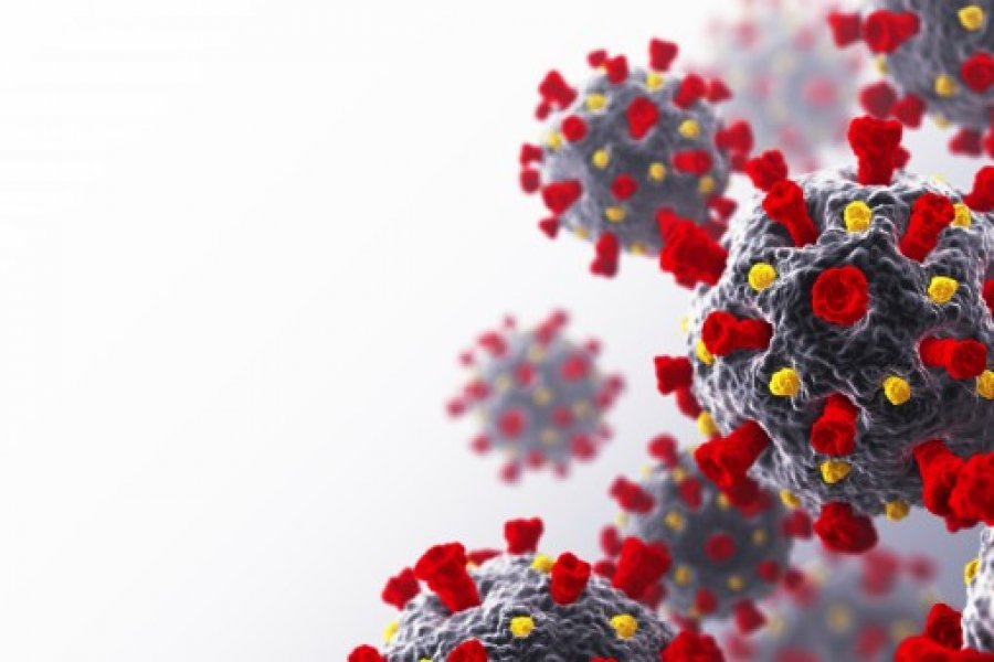 Për 24 orë, 11 të vdekur dhe 765 raste të reja me koronavirus
