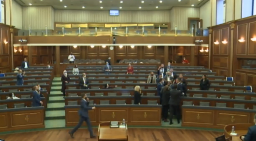 Deputetja e LVV-së: Nuk pati përleshje në Kuvend, sado që në kamera mundet me u pa ndryshe