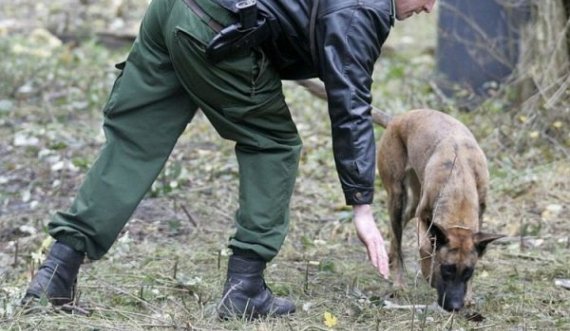 Gjenden eshtra njeriu në park, dyshohet se është ngrënë nga një kanibal