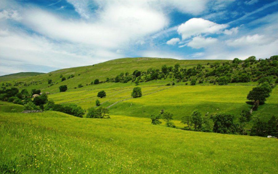 Ilaçi më i mirë kundër depresionit