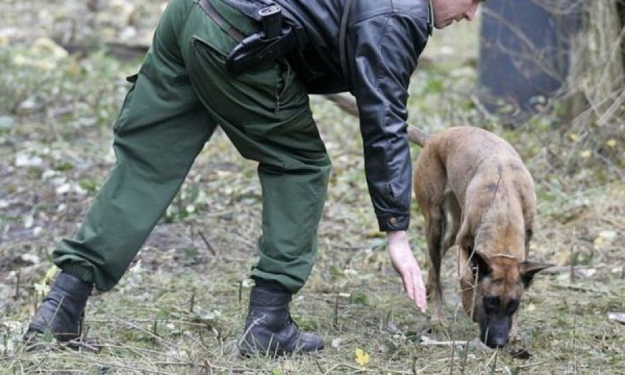 Gjenden eshtra njeriu në park, dyshohet se është ngrënë nga një kanibal