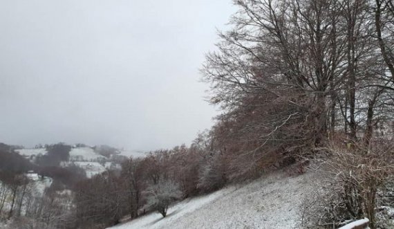 Bora mbulon Brezovicën e Shalën e Bajgorës