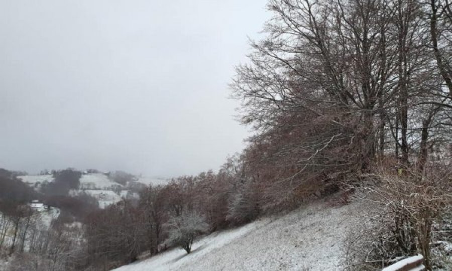 Bora mbulon Brezovicën e Shalën e Bajgorës