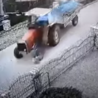 Video tronditëse: Një person e shkel qëllimisht qenin me traktor