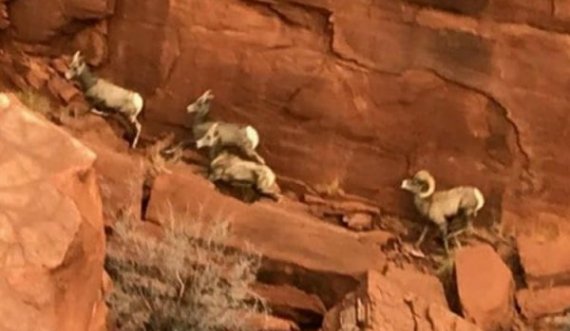 Në shkretëtirën e Utah gjendet një monolit metali misterioz